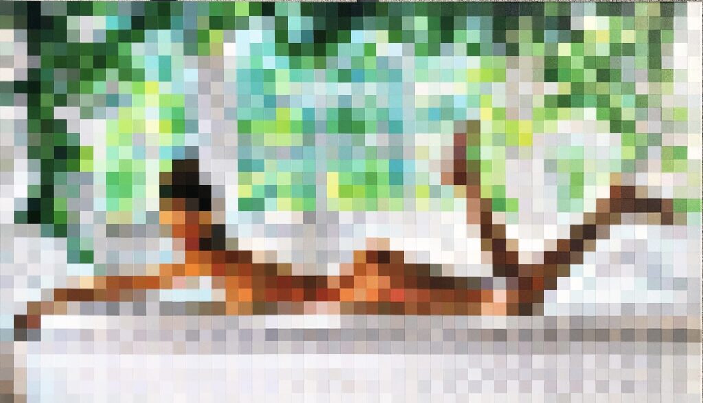 Sahara odalisque