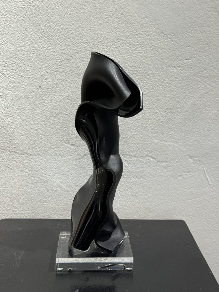 Twist Noir Brillant et Mat
