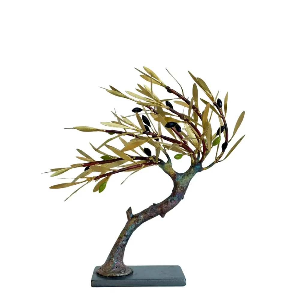 Windswept Curved Olive Tree
