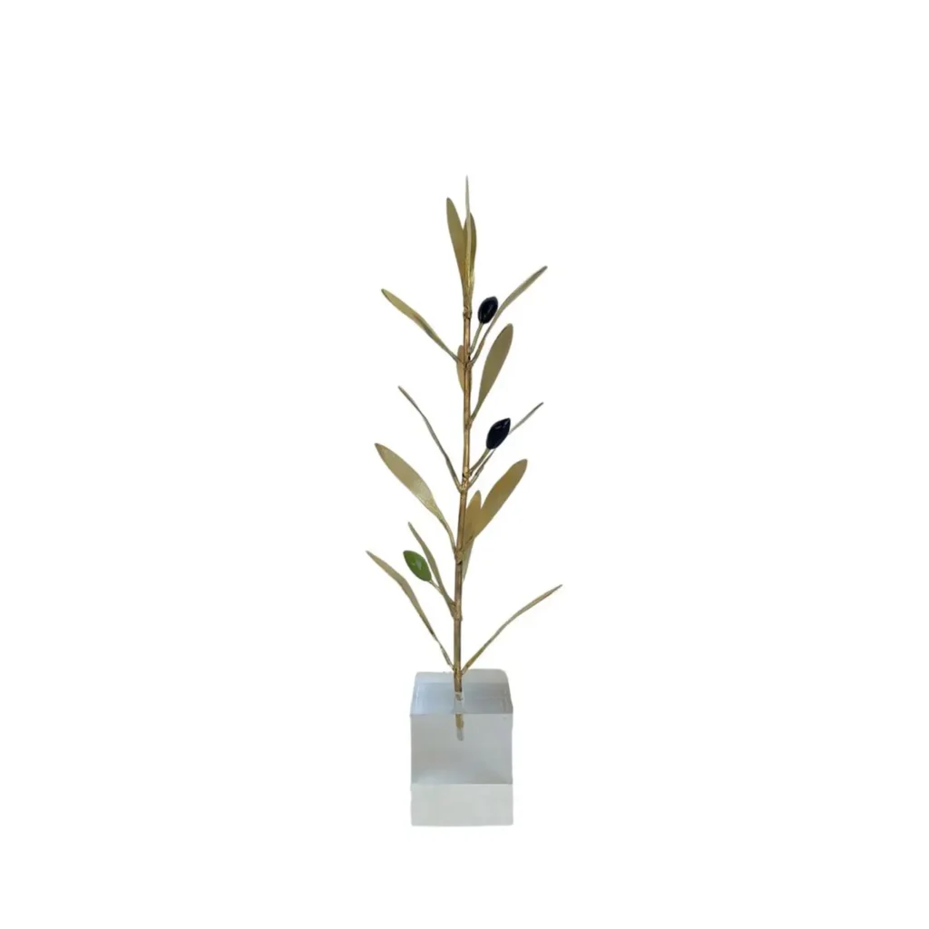 Olive branch