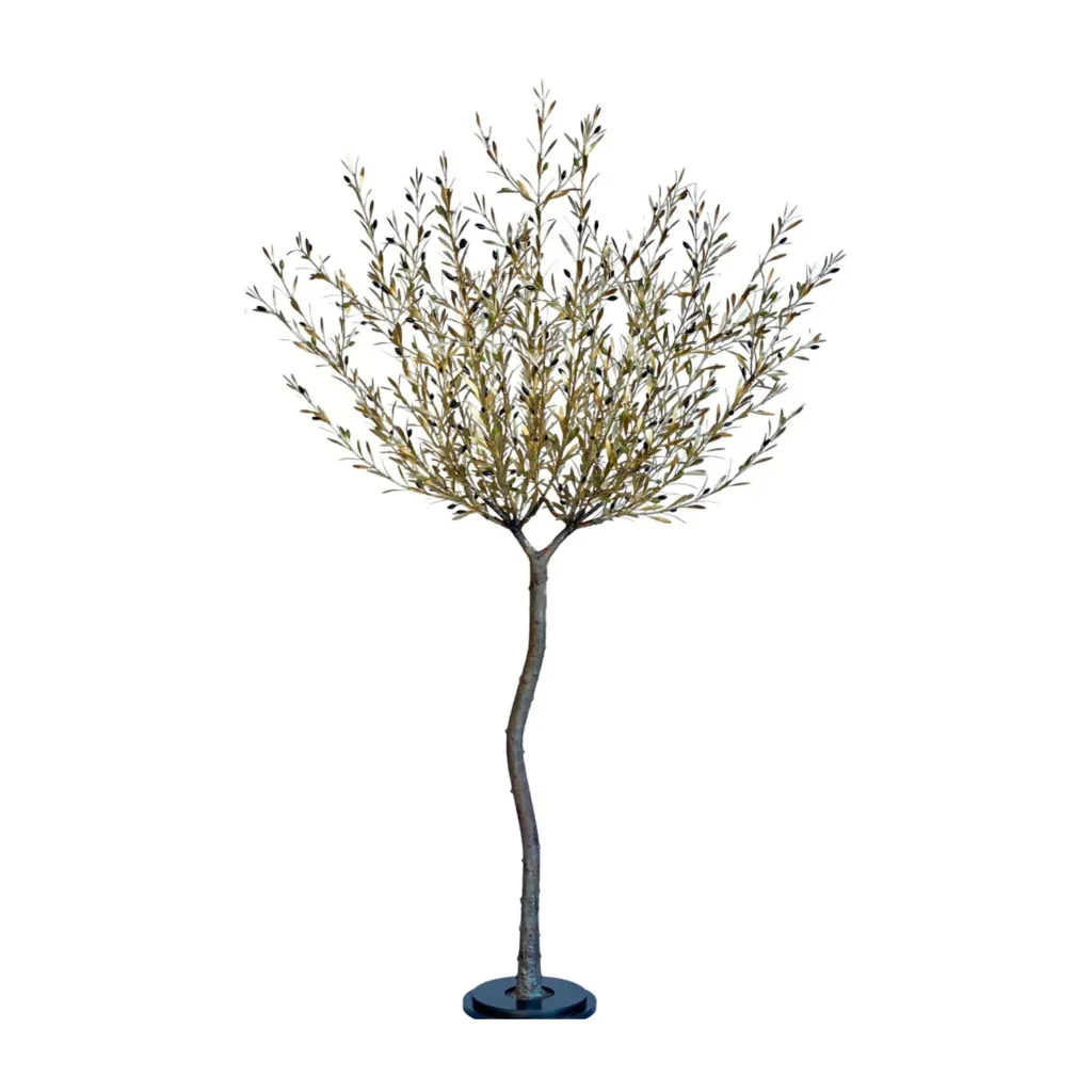 Olive Tree