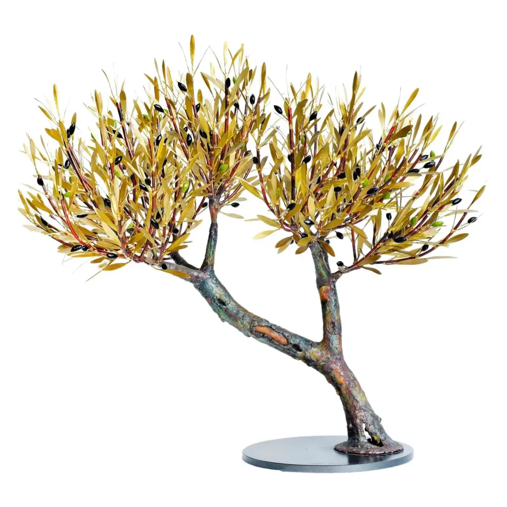 Olive tree with double trunk
