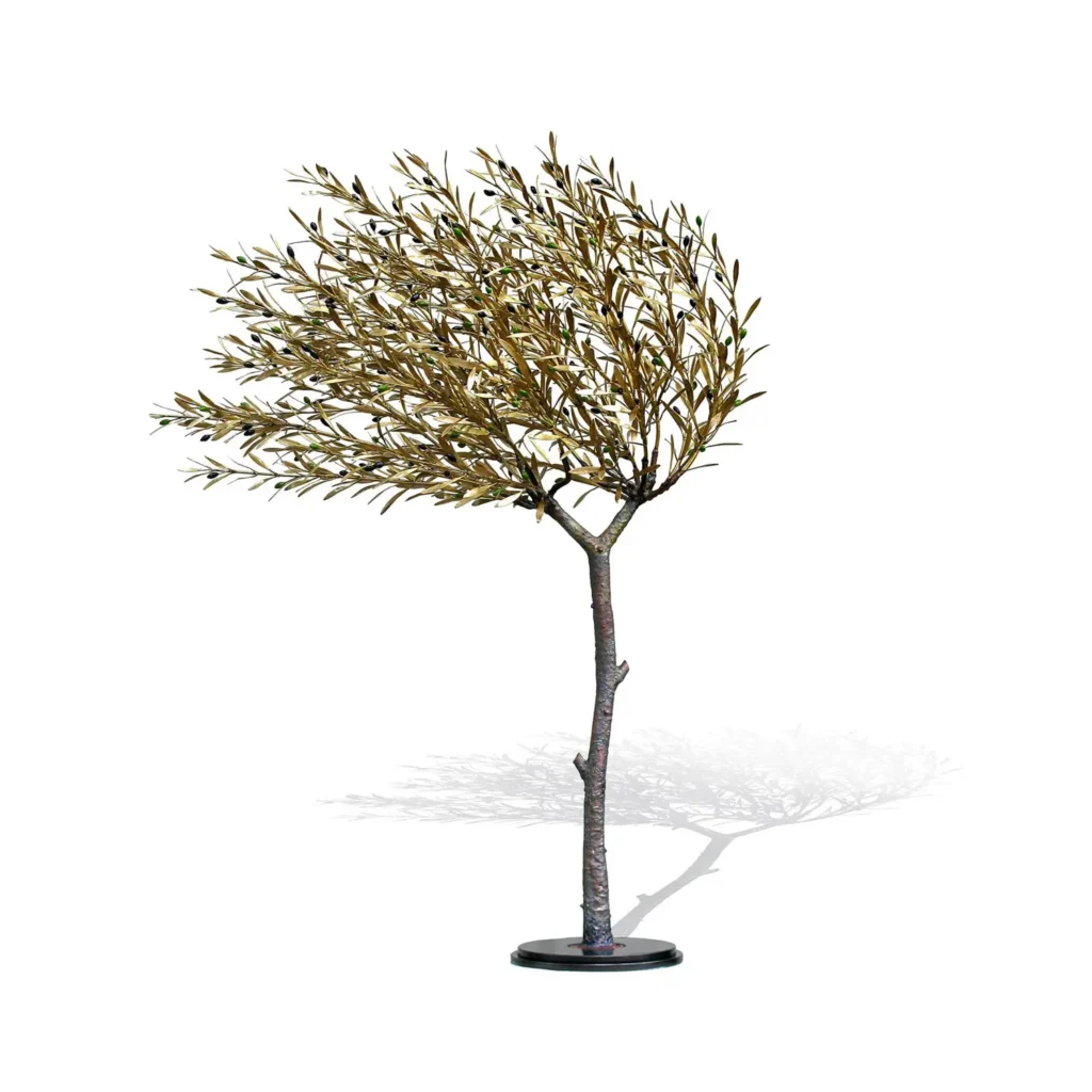 Windswept Olive Tree